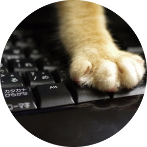 猫の手のイメージ